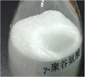 普鲁兰多糖、聚-γ-谷氨酸生产工艺创新点