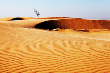 普鲁兰多糖、聚-γ-谷氨酸在防沙固沙中的应用