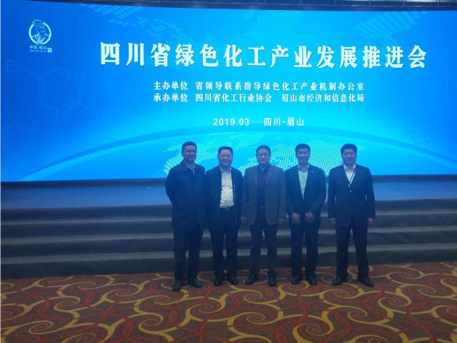 副院长杨志刚院长一行应邀出席全省绿色化工产业发展推进会